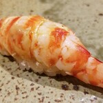 鮨匠 のむら - (19)車海老(鹿児島県開聞岳沖産)
      産卵期は初夏～初秋、旬は初夏～初秋。
      アツアツの茹で海老、車海老らしい濃厚な味を温かい茹で立てと温かいシャリで握って下さいます。