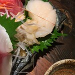 旬酔基じ - 帆立♬