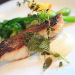 イル・クッチョロ - 