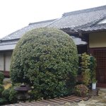 ヴェルデ辻甚 - 