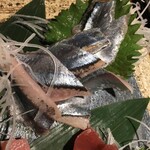 旬酔基じ - 秋刀魚♬