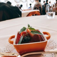 レオーネ・マルチアーノ - 