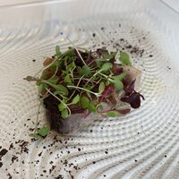 リストランテ ペガソ - 