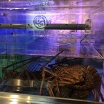 せいもん払い - 生簀