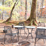 旧軽井沢Cafe 涼の音 - 