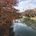 Rokusei - お店前の景色。紅葉の季節が始まりました。