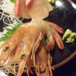 おはなぼう - 赤エビ＆寒ブリ