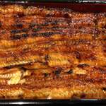うなぎ 魚政 - 特上