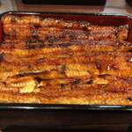 うなぎ 魚政 - 脂がたっぷりでした