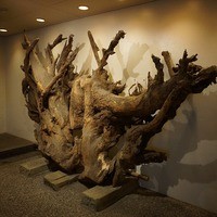麓屋 京王プラザホテル - 