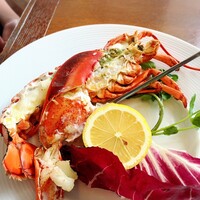 オーシャン カシータ - 