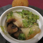 ビストロルポ - 