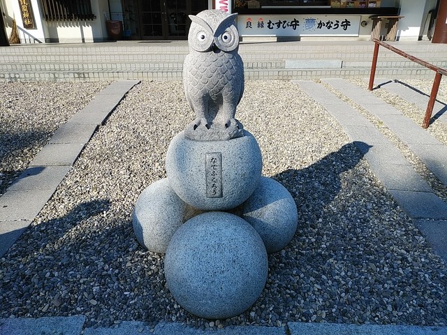 海産物屋さんのお店 By Bootnat 沙羅の月 さらのつき 宝来町 魚介料理 海鮮料理 食べログ