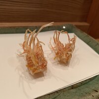 天冨良 よこ田 - 
