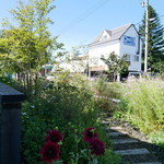 パディーズカフェ - 