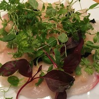 tcc GINZA - 
