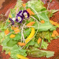 きみや 大阪本店  - 季節のサラダ