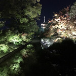 teppanryourisemmontenwabiyazammai - 東寺のライトアップ。