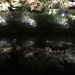 teppanryourisemmontenwabiyazammai - 東寺のライトアップ。水面に映る姿が幻想的で感動しました！