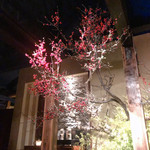 マイモン博多 - 