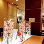 Dotoru Kohi Shoppu - 奥の喫煙席。造花がライトアップされていて華やか。