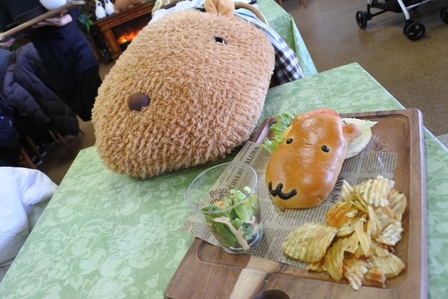 森のどうぶつレストラン ギボン亭 城ケ崎海岸 洋食 食べログ 森のどうぶつレストラン ギボン亭 城ケ崎海岸 洋食 食べログ