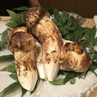 御料理 まつ山 - 