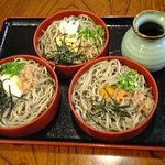 そば処 田中屋 - 三色割子そば