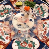 割烹 かじ 本店 - ふぐ刺し