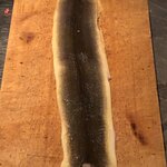 ろっかん - 津本さん仕立ての天然うなぎ