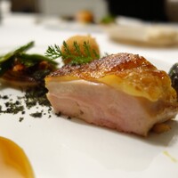 Installation Table ENSO L'asymetrie du calme - ほろほろ鶏