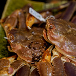 豪龍久保 - かに