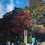 高橋家 - 高尾山紅葉