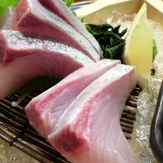 Local yellowtail sashimi