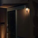 ペレグリーノ - 