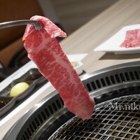 近江うし 焼肉 にくTATSU 青山本店 - 
