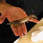 美酒美食 平田 - 