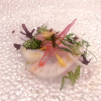 Ristorante IL PRINCIPE - 