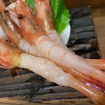 Tano Hei Tei Sashimi Semmon Ten - 甘えび