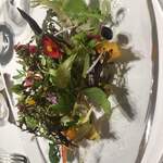 レフェルヴェソンス - 