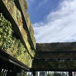 空也 - 東急プラザRF Green side