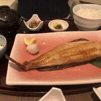 函館うに むらかみ 日本生命札幌ビル店 - 