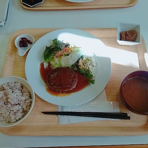 Hanikamu Shokudo photo 3