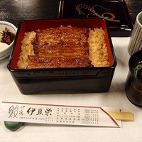 鰻割烹 伊豆栄 本店 - うな重（松）