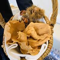 クイントカント - 