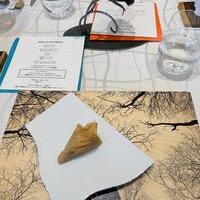 クイントカント - 