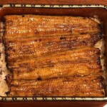 鰻はし本 - 横山さんの鰻の鰻重ろ