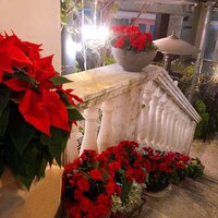 表参道バンブー - 