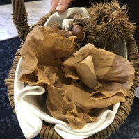 クイントカント - どこに隠れてるでしょう？