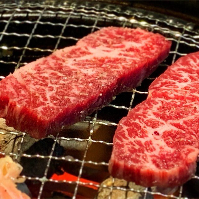 炭火焼肉ふじた 三島 焼肉 食べログ 炭火焼肉ふじた 三島 焼肉 食べログ